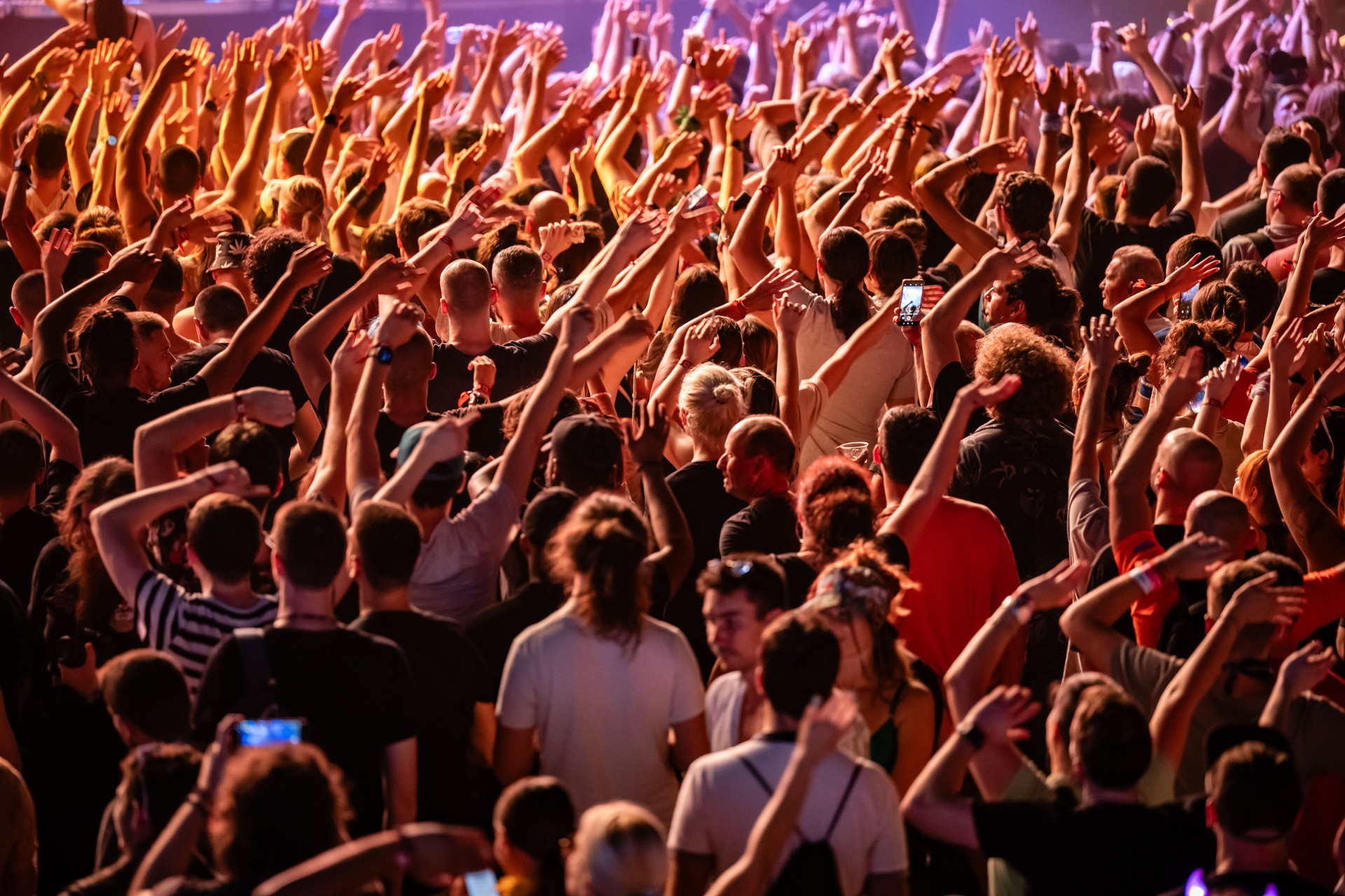 Crowd raising hands and dancing at music festival